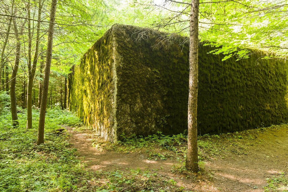 De Wolfsschanze