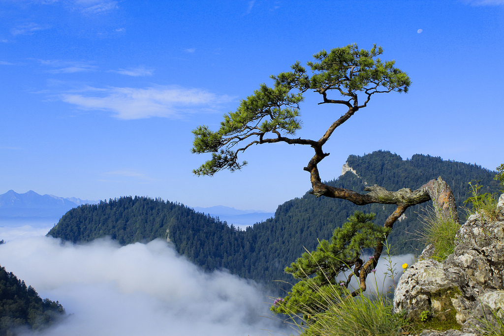 Pieniny 