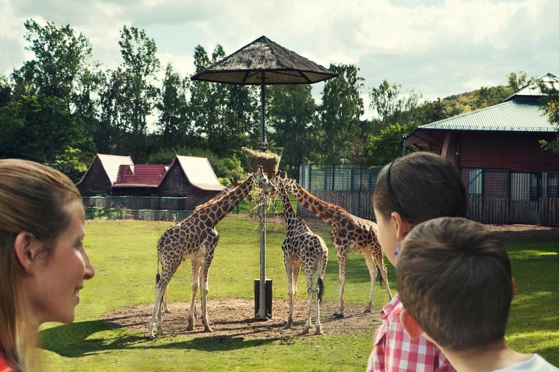 Zoo Oliwa