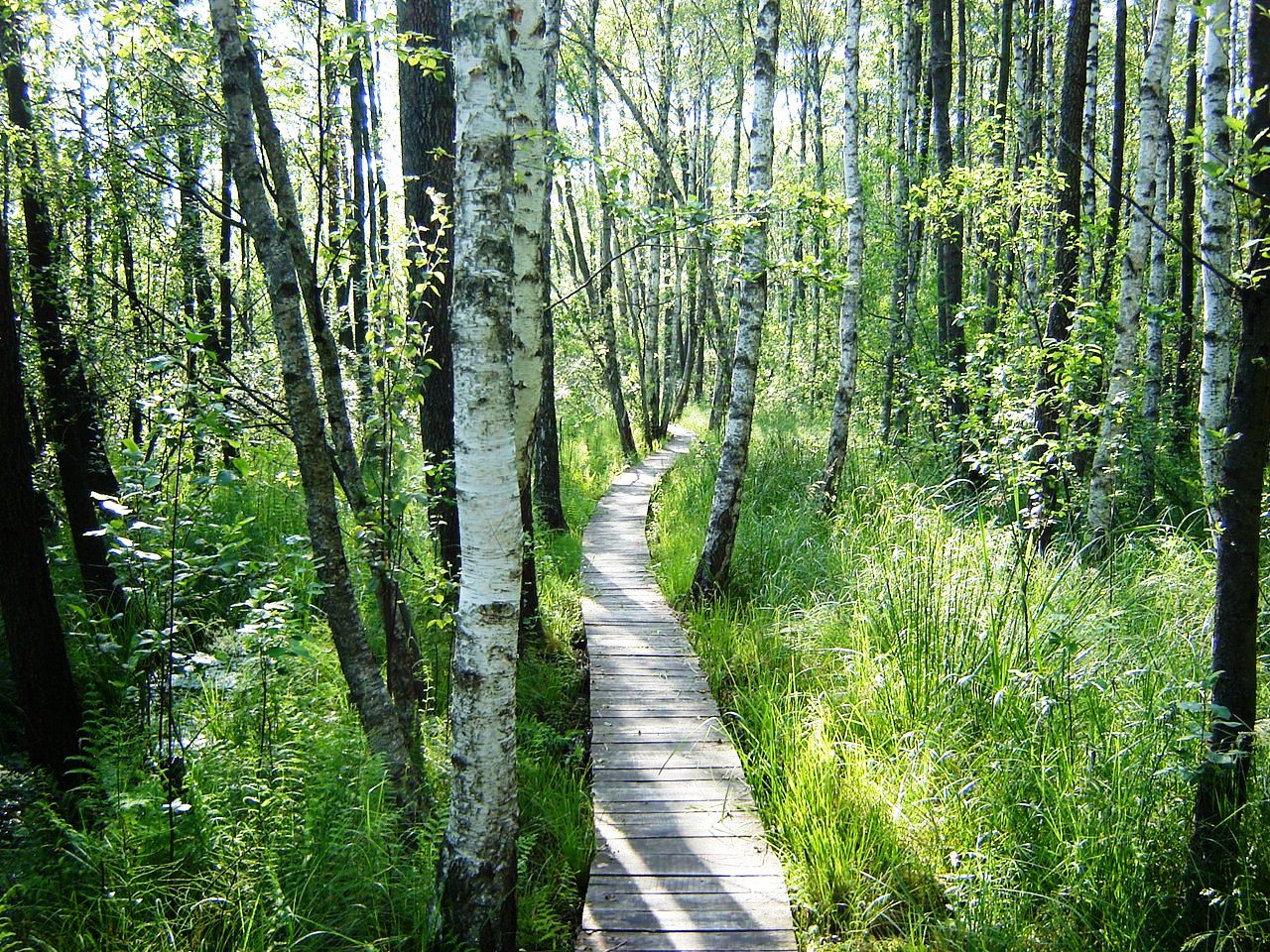Poleski Nationaal park 
