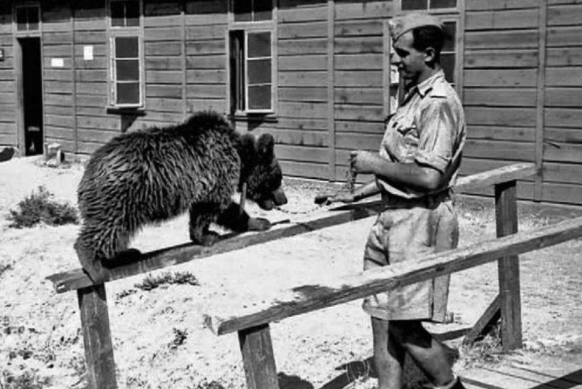 De beer Wojtek