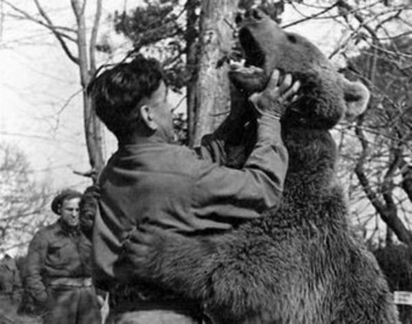 De beer Wojtek