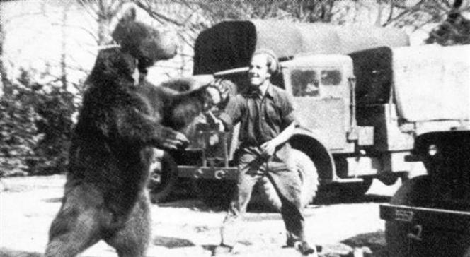 De beer Wojtek