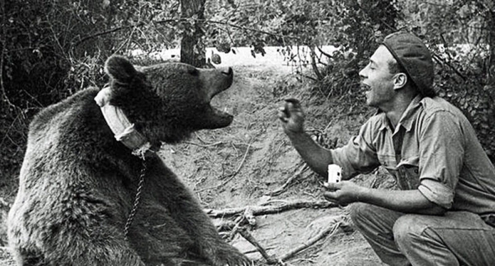 De beer Wojtek