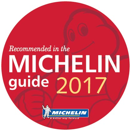 logo Michelin