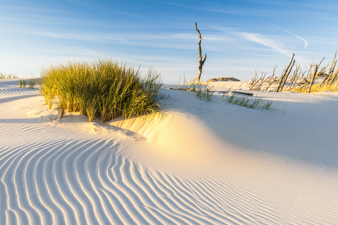Duinen - Slowinski Nationaal Park
