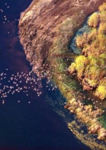 Natur i Podlasie