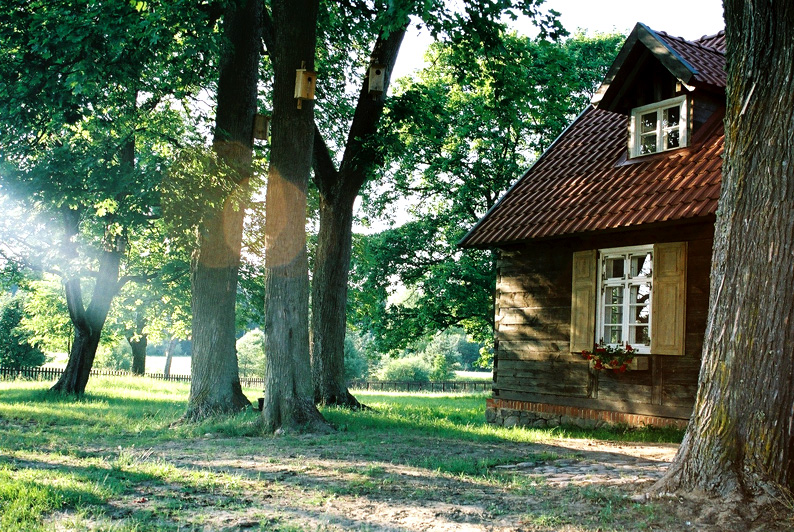 image1.jpg