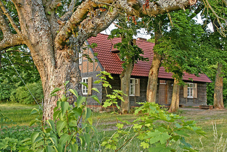 image11.jpg