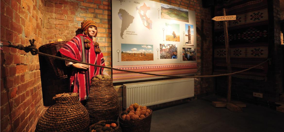 Potatismuseet i Poznań