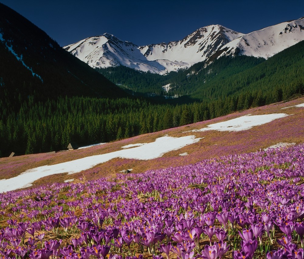 chochoowska valley