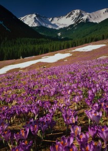 Tatra Nationalpark