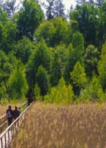 Biebrza Nationalpark