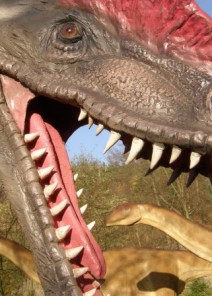 Baltow JuraPark