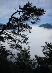Pieniny