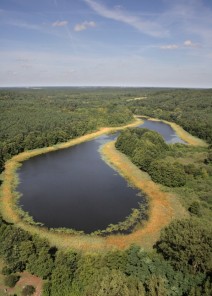 Wielkopolska