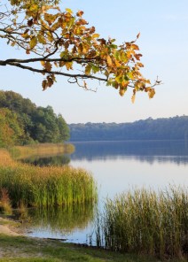 Wielkopolska