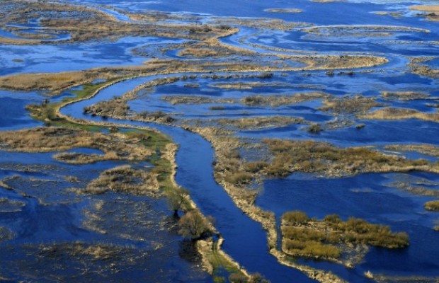 100 000 hektar av sumpmark