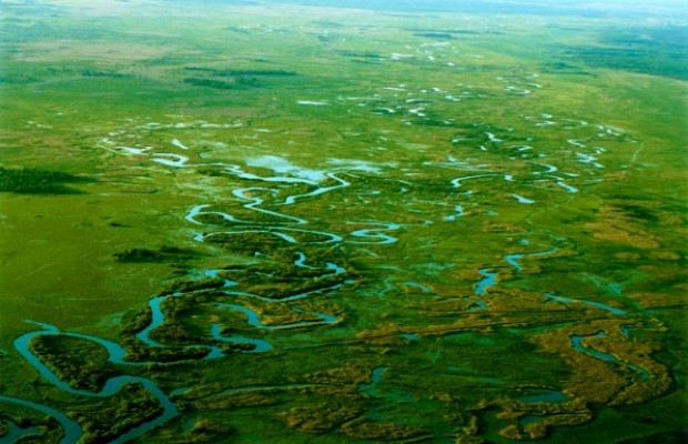 Biebrza Nationalpark