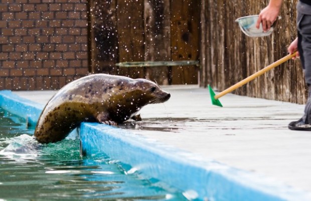 Ocean park