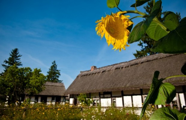Karuzy