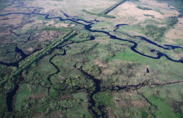 Narwiinski Nationalpark