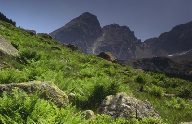Tatra Nationalpark